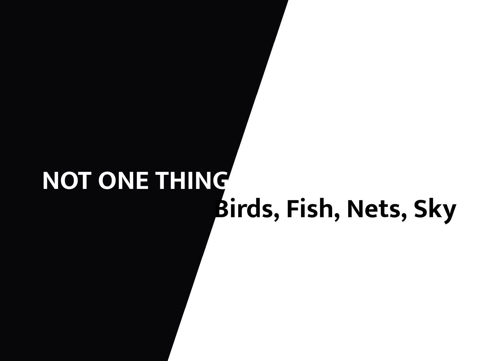 NOT ONE THING & Birds, Fish, Nets, Sky - 48 Stunden Neuk&ouml;lln
